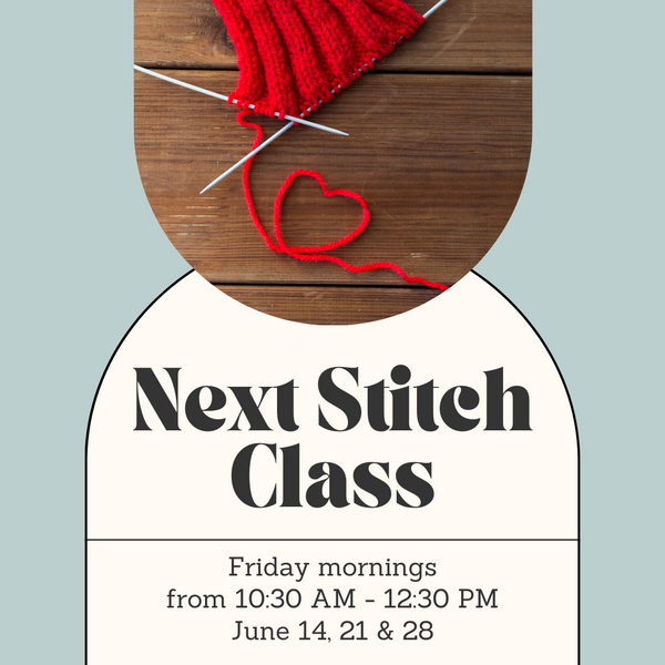 Next Stitch Class - Friday Mornings - June