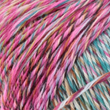 Wool Addicts Move