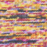 Wool Addicts Move 8ply