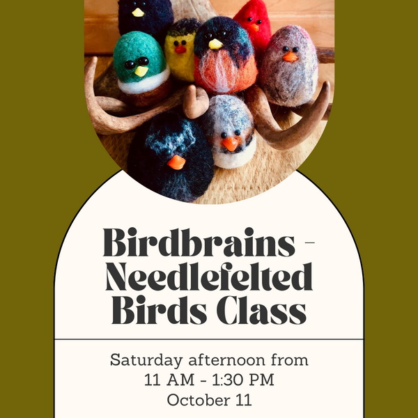Birdbrains - Needlefelted Birds Class - Saturday Afternoon - October