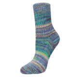 Flotte 4ply Sock Salina