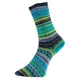 Pro Lana Fjord Socks Puzzle 4ply