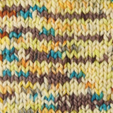 Rico Fashion Tinted Merino