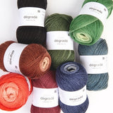 Rico Socks Degrade 4ply