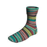 Lang Super Soxx Color 4ply Fjord Soxx