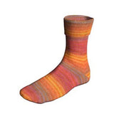 Lang Super Soxx Color 6ply