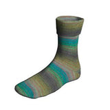 Lang Super Soxx Color 6ply