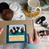 Bergin & Bath Needle Felting Kits