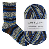 Arne & Carlos Socks