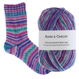 Arne & Carlos Socks