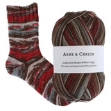 Arne & Carlos Socks