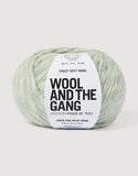 Wool and the Gang Crazy Sexy Wool