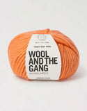 Wool and the Gang Crazy Sexy Wool