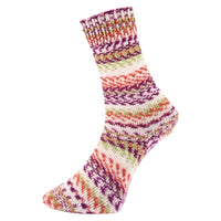 Pro Lana Fjord Socks Multicolour