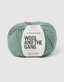 Wool and the Gang Lil Crazy Sexy Wool