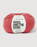 Wool and the Gang Lil Crazy Sexy Wool