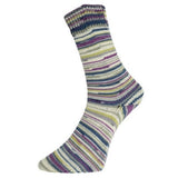 Pro Lana Schonwald 4ply Sock