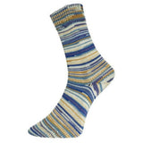 Pro Lana Schonwald 4ply Sock