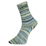 Pro Lana Schonwald 4ply Sock