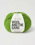 Wool and the Gang Crazy Sexy Wool
