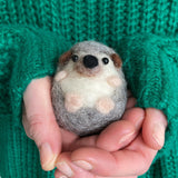 Bergin & Bath Needle Felting Kits