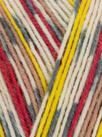 WYS 4 ply Country Birds Yarn