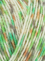 Wys Signature 4ply Butterflies Yarn