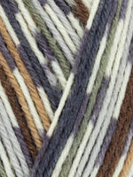 WYS 4 ply Country Birds Yarn