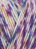 Wys Signature 4ply Butterflies Yarn