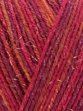 WYS Christmas Sock Yarn