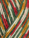 WYS Christmas Sock Yarn