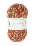 WYS Christmas Sock Yarn