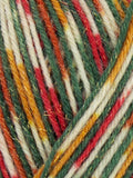 WYS Holiday Signature 4ply